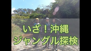 【いざぁ！やんばる世界自然遺産！沖縄！Gopro HERO9 BLACK 撮影】のんびりゆっくり沖縄自然体験エコツアー！お子様連れのご家族や体力に自信のない方、のんびりゆっくり沖縄の自然体験ツアー