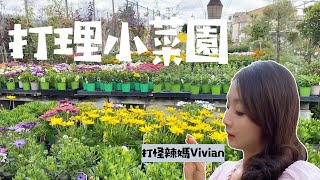 【苗圃】Vlog#47: 打理小菜園，給花園增加顏色！|打怪辣媽Vivian