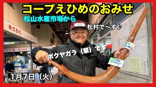 松山市 新居浜市 今治市 スーパー おすすめ 野菜 魚 肉 惣菜 新鮮 安い 品揃えがいい　　#瀬戸内海の魚　#コープえひめ