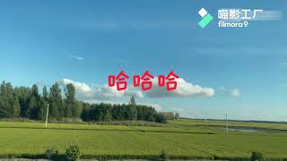 China rice fields in Heilongjiang Province