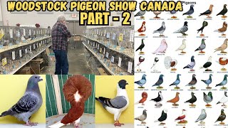 The Great Canadian Fancy Pigeon Show! PART-2 / FancyPigeon Breed Show