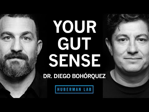 Dr Diego Bohórquez The Science Of Your Gut Sense The Gut Brain Axis