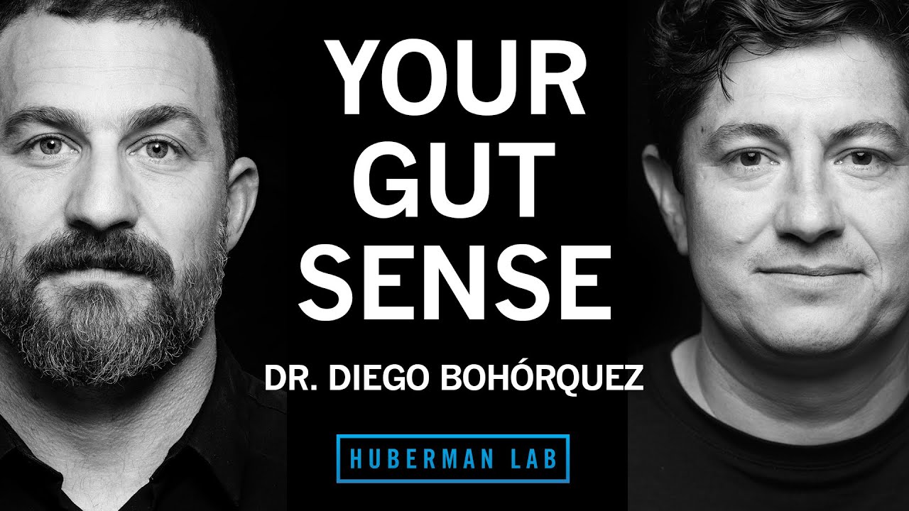 Dr Diego Bohórquez The Science Of Your Gut Sense The Gut Brain Axis