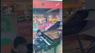 看不見的音樂家 林昊恩 Howen Lin【風之通道 風のとおり道  】C. Bechstein Concert A192 #acoustic #music #piano #asmr #宮崎駿 #龍貓