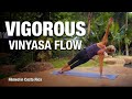 Vigorous Vinyasa Flow Yoga Class (30 min) - Five Parks Yoga