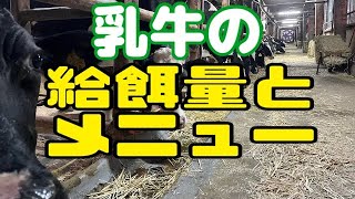 ［乳牛　給餌メニュー］💯飼料設計と飼料管理🐮🌱 乳牛の　配合 粗飼料 添加剤 紹介　繁殖成績向上は母体の飼料管理から　明治飼料 共立製薬 大阪 堺市 酪農組合　スーダン　配合　オーツヘイキューブ