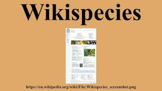 Wikispecies