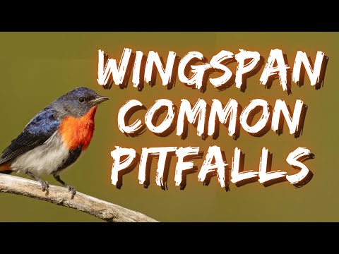Common pitfalls in Wingspan  Avoid these traps!