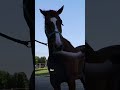 breaking an arena record mini barrel race vlog equestrian barrelracing horseriding horses