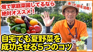 畑で家庭菜園しているなら絶対に試したい！自宅で余った苗を活用するプランター栽培！トマト・ピーマン・ナス・キュウリ等の夏野菜の苗を家庭でも観察【家庭菜園】【ベランダ】