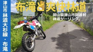 布滝と爽快林道_岡山県津山市阿波村_林道大杉線