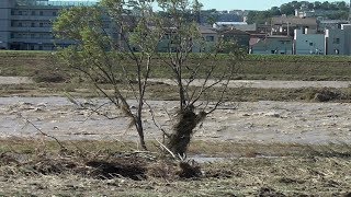 “過去最強”台風19号関東直撃！翌朝の調布・多摩川（2019/10/12）