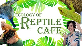 【ハーバード生の宿題①】Ecology of Reptile Café