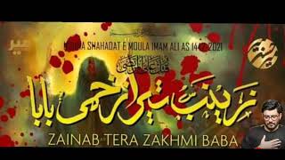 Zainab Tera ZaKhmi Baba | Mir Hasan mir | Nohay 2021| 21 Ramzan Noha 2021 | Moula Ali Noha 2021