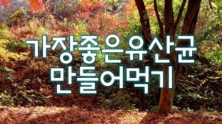 [새벽5시세포명상]4세대유산균만드는방법.21.11.26