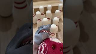 SHARK PUPPET AND DAVE GO BOWLING AGAIN!!!