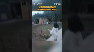 【萌寵】哭笑不得！女童用新球訓練狗狗被氣哭