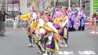 幸の神・龍星連「花火」☆よさこいフェスティバル2016 in モールプラザ草加