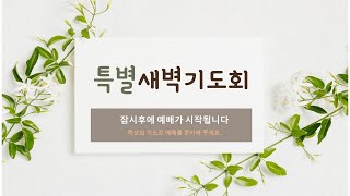 여천중앙교회 2023.03.21 사순절특별새벽기도회 설교 최기현목사 - 주님이 댓가를 치르셨습니다