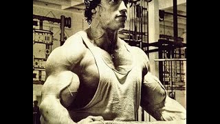 Arnold Schwarzenegger Old School : Classic Aesthetic Bobybuilding : Fitness Motivation