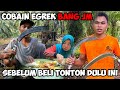 Tonton Dulu Sebelum Beli Egrek Bang JM plamking Iong ultra original | Panen Sawit Bersama Istri