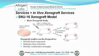 Altogen Labs SNU-16 Xenograft Service Gastric Cancer