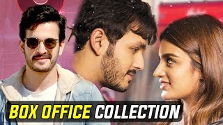 Mr. Majnu Box Office Collection | Akhil Akkineni | Nidhi Agarwal