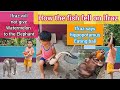 How the fish fell on Ifraz?he didn't give Watermelon to the Elephant #youtubevideos #youtubeshorts