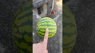 Experiment: Will watermelons and cantaloupes explode if they roll down from a tall building?#shorts