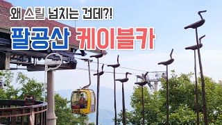 대구 팔공산 케이블카 / 산은 구경하고 싶고, 등산은 싫을땐 케이블카!