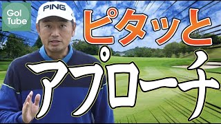 中井学のピタッとアプローチ#1【グリーン横15yard編】ロフト通りに打ちピッチ＆ランを成功させる秘訣を伝授！