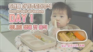 [Food Diary 1日] 6개월 아이주도이유식(Baby Led Weaning) Day1ㅣ6개월 너의 인생 첫 음식, 나는 너를 믿어ㅣ 당근,브로콜리,두부