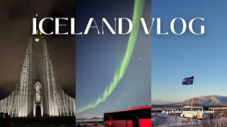 Vlog.22｜tripvlog｜3泊４日極寒のアイスランド旅行🇮🇸｜オーロラツアーとゴールデンサークルツアー🌈｜レイキャビク観光🎄