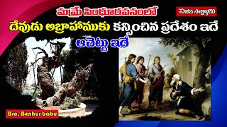 మమ్రే వద్ద దేవుడు అబ్రాహాముకు కనిపించిన చోటు/Oak of Abraham/Oak of Mamre Bible/Benhur babu videos