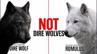 They're Not Dire Wolves.. Here's What They Really Are!