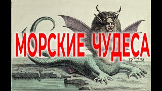 Невероятные морские чудеса | Виктор Максименков