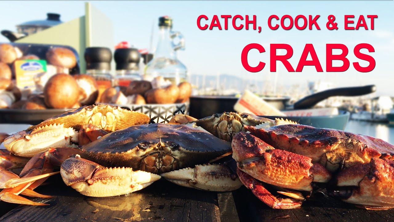 Catch Cook Huge Crabs Youtube