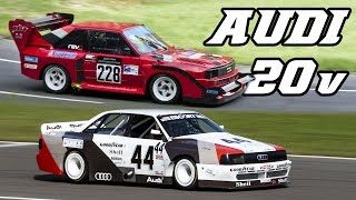 Audi 5-cylinder Quattro Turbo race & rallycars (Gr.B, Pikes Peak, Transam)