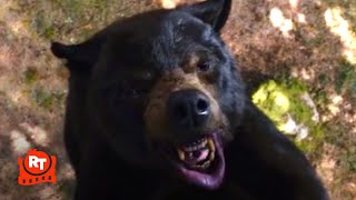 Cocaine Bear (2023) - Eaten Alive in the Tree Scene | Movieclips