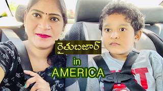 America lo Raitu Bazaar#Farmers Market In America#Vani Vlog#Vani Diaries#Vani US Diaries