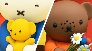 Teddy Bear Day! | Miffy | Miffy's Best Teddy Bear Moments! | Miffy's Adventures Big \u0026 Small