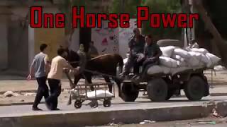 One Horse Power Pull in Iraq  2008