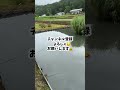 【秋田県阿仁町】かかしコンテスト会場