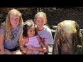 the baird family story a fostering and adoption story