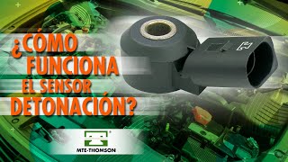 Cómo funciona el Sensor de Detonación?