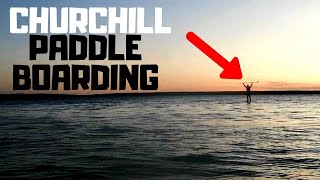 Paddleboarding with Belugas (Churchill River - August 2019)