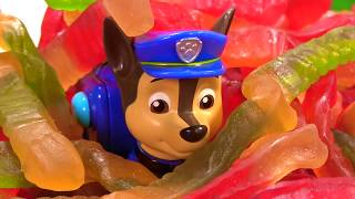 Paw Patrol is Trapped Under a Mountain of Gummy Worms