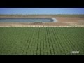 Installing subsurface drip irrigation for Sugarcane