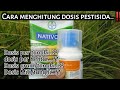 Cara menghitung dosisi pestisida || dosisi perhektar per tangki.