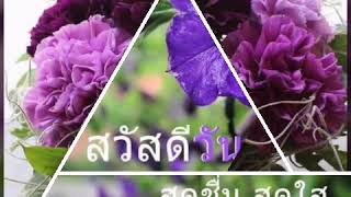 # รักบังใบ #  ศรัณย่า